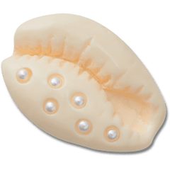 Pearl Puka Shell Jibbitz™ charms | Crocs Women / Men