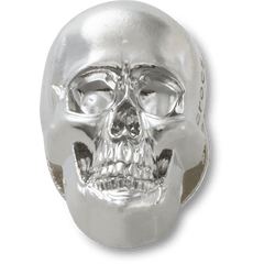 Silver Skull Jibbitz™ charms | Crocs Women / Men